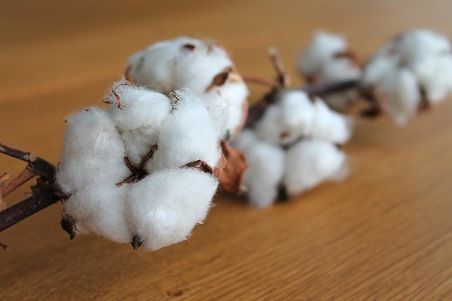 Naturgarn tillverkas bland annat av cotton. Cotton används framför allt till att sticka sommarplagg.